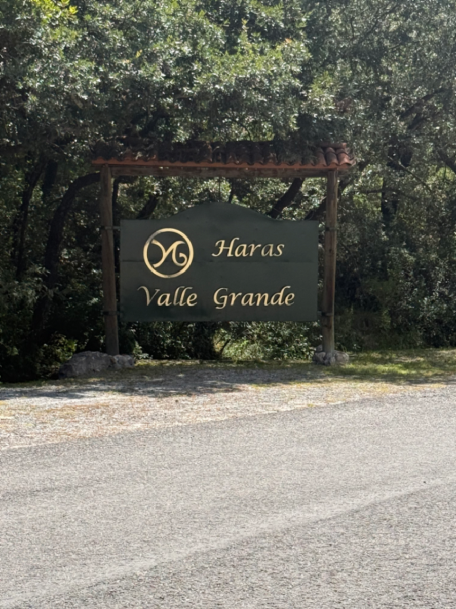 Terreno en venta en Campestre Haras, Amozoc — foto 1 de 9