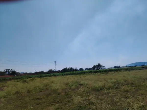 Terreno en venta en Lazaro Cardenas, Xochitepec — foto 2 de 8