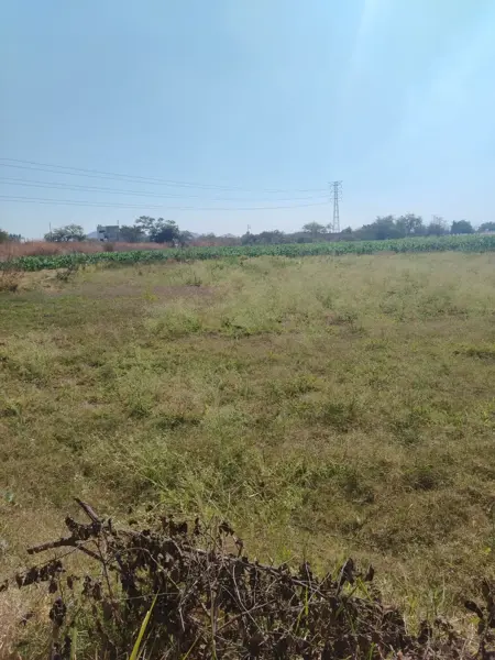 Terreno en venta en Lazaro Cardenas, Xochitepec — foto 3 de 8