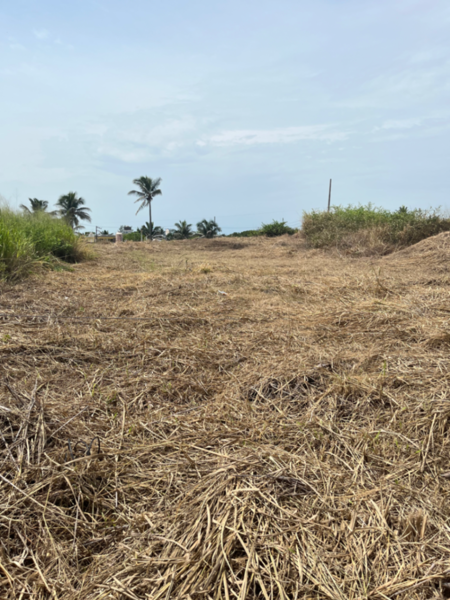 Terreno en venta en Anton Lizardo, Alvarado — foto 3 de 15