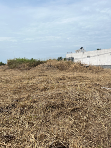 Terreno en venta en Anton Lizardo, Alvarado — foto 2 de 15
