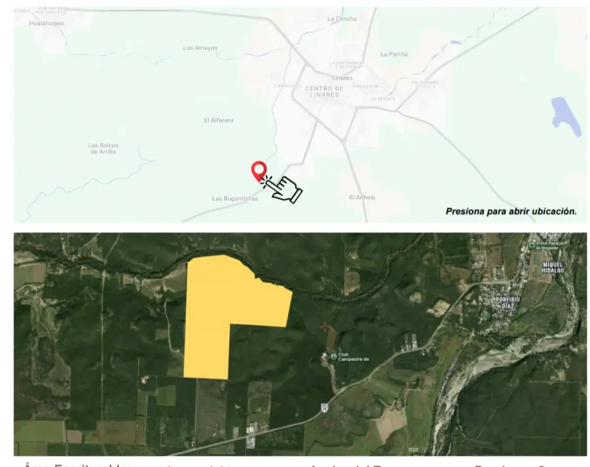 Terreno en venta en Las Bugambilias, Linares — foto 1 de 2