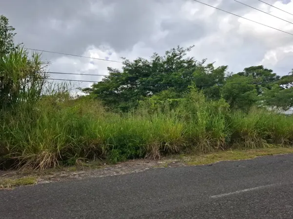 Terreno en venta en Corral Falso, Emiliano Zapata — foto 3 de 6