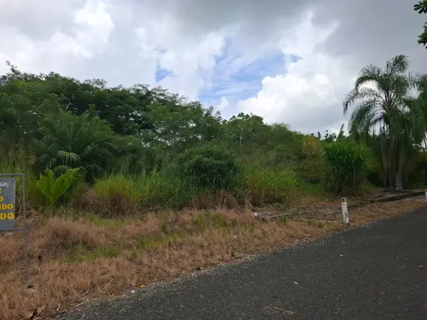 Terreno en venta en Corral Falso, Emiliano Zapata — foto 2 de 6