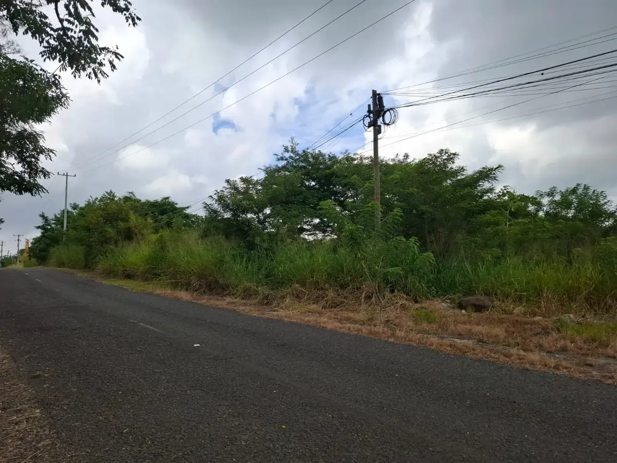 Terreno en venta en Corral Falso, Emiliano Zapata — foto 1 de 6