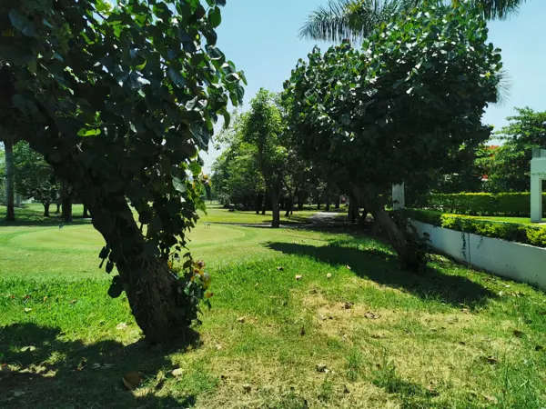 Terreno en venta en Paraíso Country Club, Emiliano Zapata — foto 2 de 7