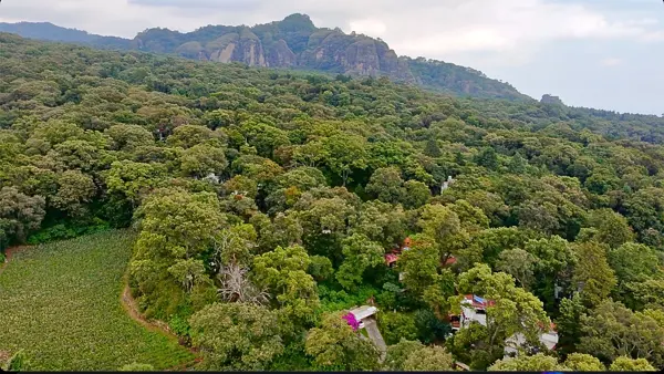 Terreno en venta en San Juan Tlacotenco, Tepoztlán — foto 2 de 9