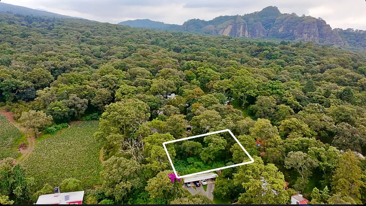 Terreno en venta en San Juan Tlacotenco, Tepoztlán — foto 1 de 9