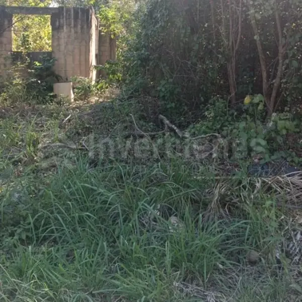 Terreno en venta en Álamos I, Benito Juárez — foto 3 de 3