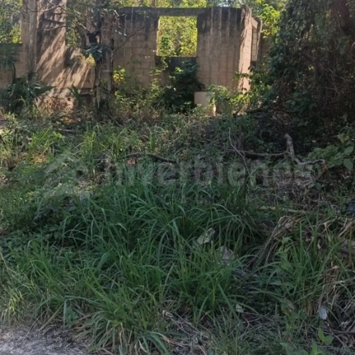 Terreno en venta en Álamos I, Benito Juárez — foto 1 de 3