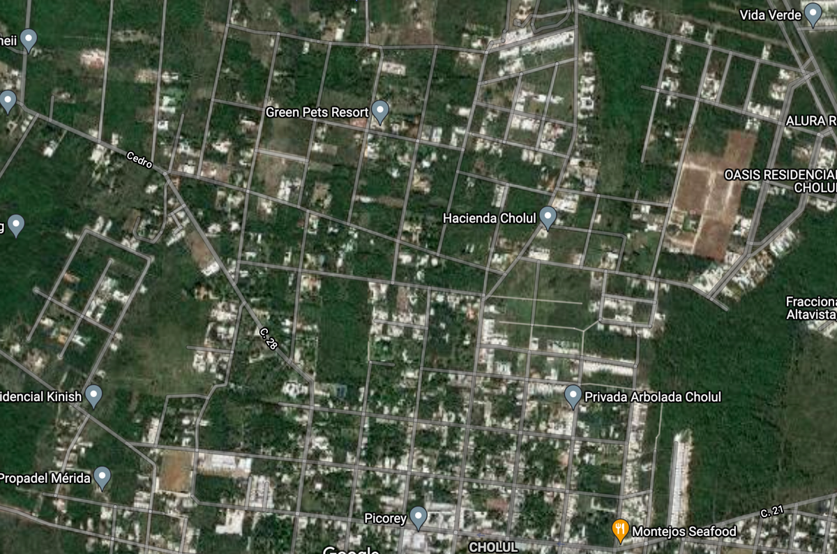 Terreno en venta en Cholul, Mérida — foto 1 de 3