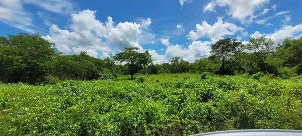 Terreno en venta en Muxupip, Muxupip — foto 2 de 5