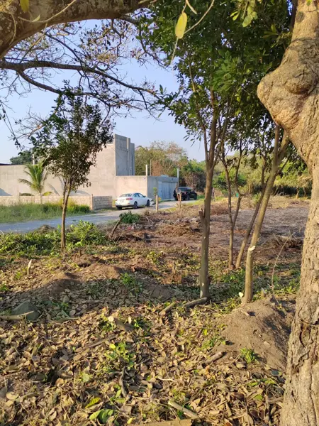 Terreno en venta en Paso Colorado, Boca del Río — foto 2 de 4