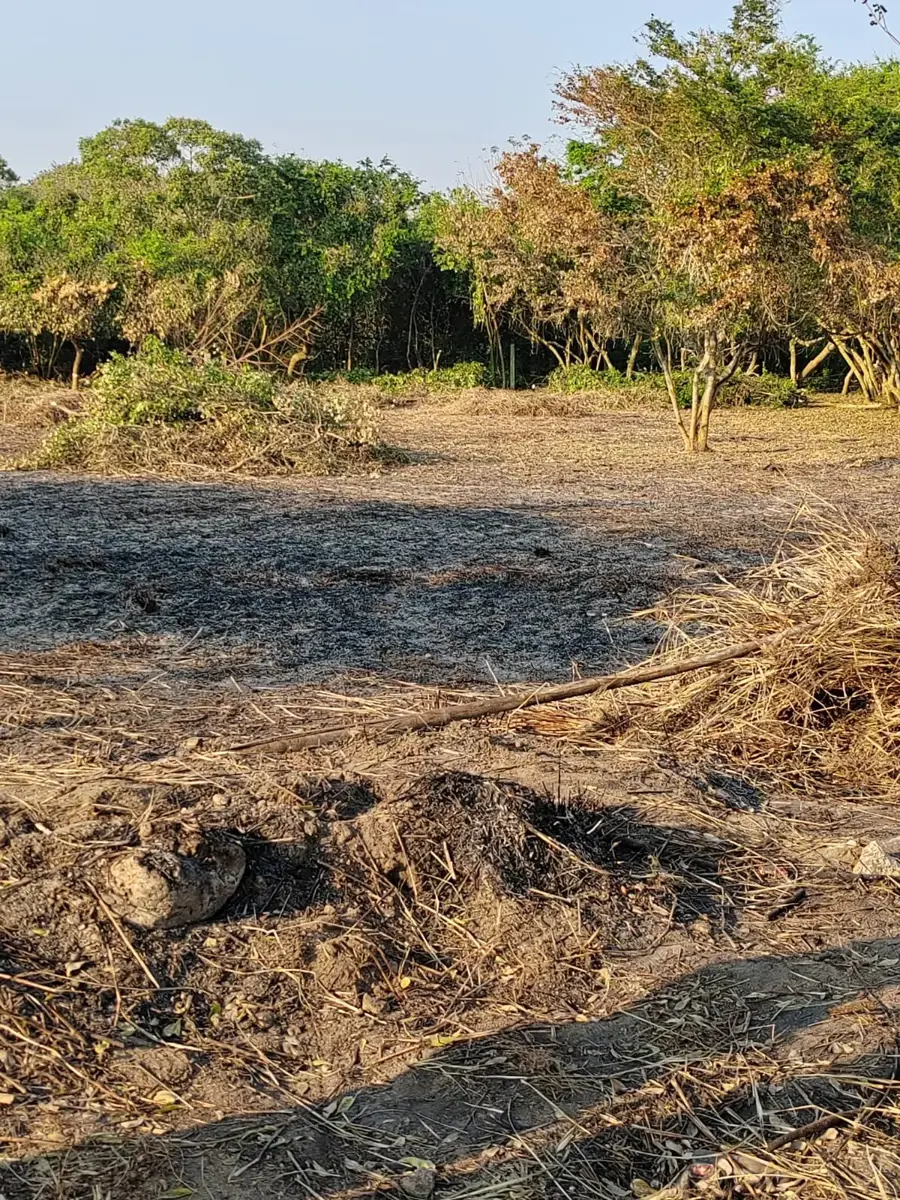 Terreno en venta en Paso Colorado, Boca del Río — foto 1 de 4