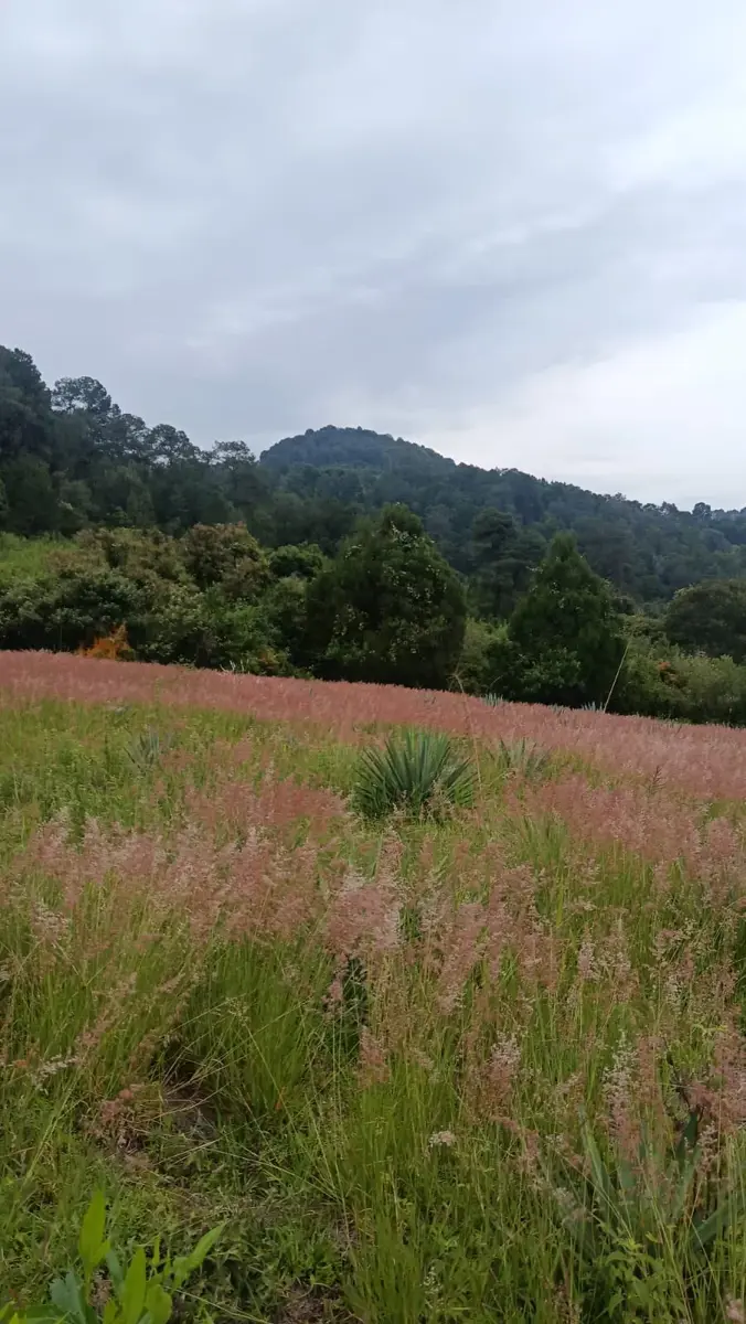 Terreno en venta en San Juan, Malinalco — foto 1 de 5
