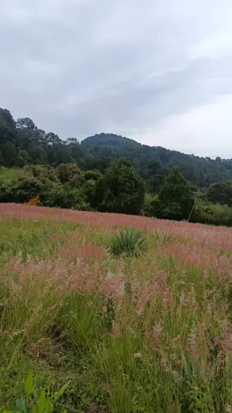 Terreno cerca de las pirámides