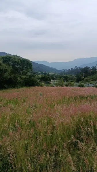 Terreno en venta en San Juan, Malinalco — foto 2 de 5