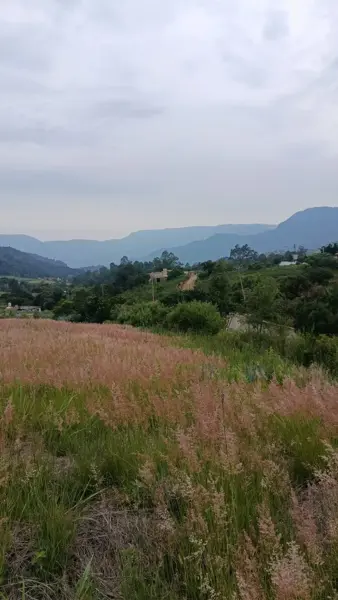 Terreno en venta en San Juan, Malinalco — foto 3 de 5