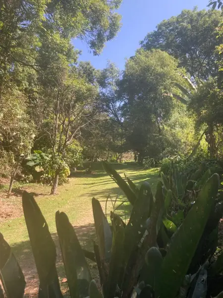 Terreno en venta en Santa María Pipioltepec (Pipioltepec), Valle de Bravo — foto 2 de 12