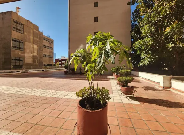 Departamento en venta en Del Valle Centro, Benito Juárez — foto 3 de 17
