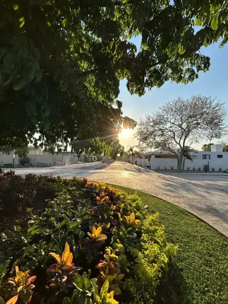Terreno en venta en Tamanche, Mérida — foto 3 de 11