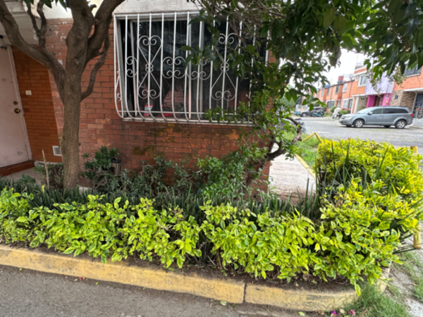 Casa en renta en Consejo Agrarista Mexicano, Iztapalapa — foto 2 de 21