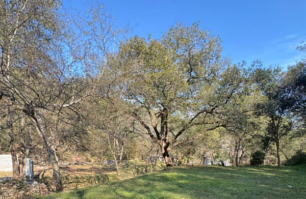 Terreno en venta en El Ranchito, Santiago — foto 3 de 23