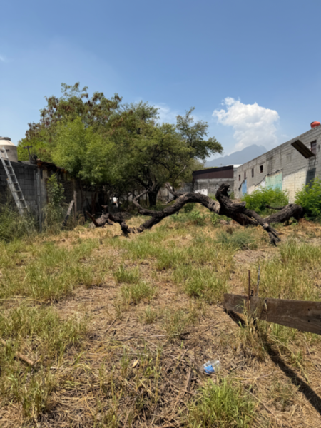 Terreno en venta en Monterrey Centro, Monterrey — foto 3 de 4