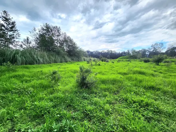 Terreno en venta en San Mateo Acatitlán, Valle de Bravo — foto 3 de 13
