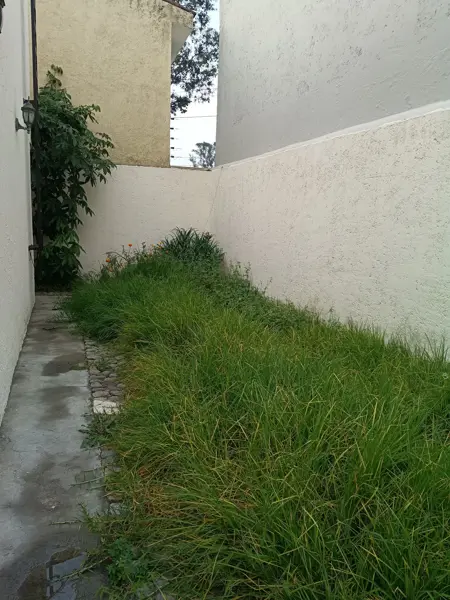 Casa en renta en Jesús Tlatempa, San Pedro Cholula — foto 3 de 18