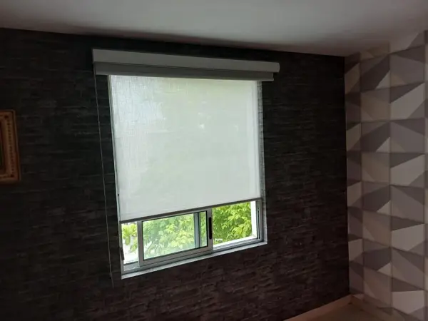 Casa en renta en Las Maravillas, Saltillo — foto 3 de 21