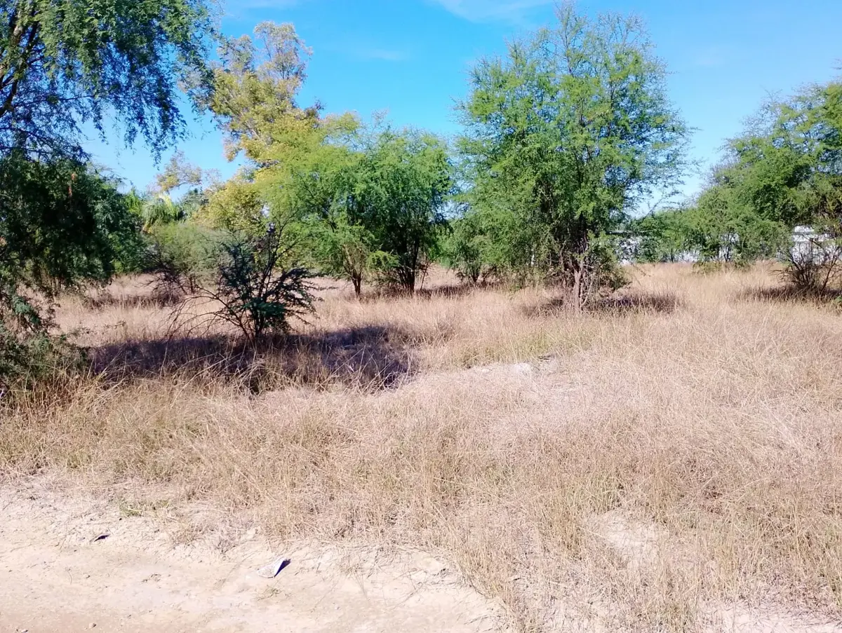 Terreno en venta en Trancas y Sabarado, Cadereyta Jiménez — foto 1 de 6