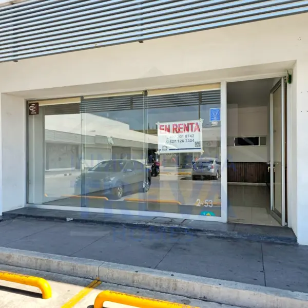 RENTA DE LOCAL COMERCIAL EN SAN JUAN DEL RIO