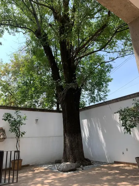 Casa en venta en Lomas de Chapultepec VIII Sección, Miguel Hidalgo — foto 2 de 28