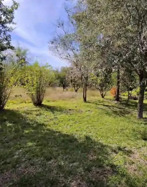 Terreno en venta en Rancho Escondido, Montemorelos — foto 3 de 4