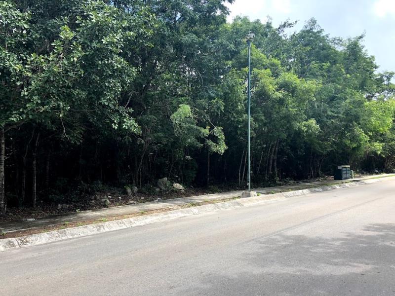 Terreno en venta en Los Arrecifes, Solidaridad — foto 1 de 2