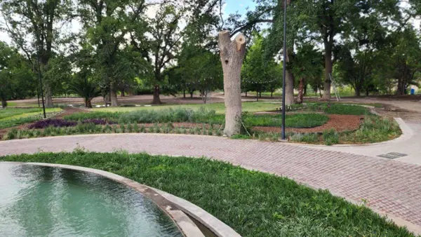 Terreno en venta en Parras, Parras — foto 3 de 16