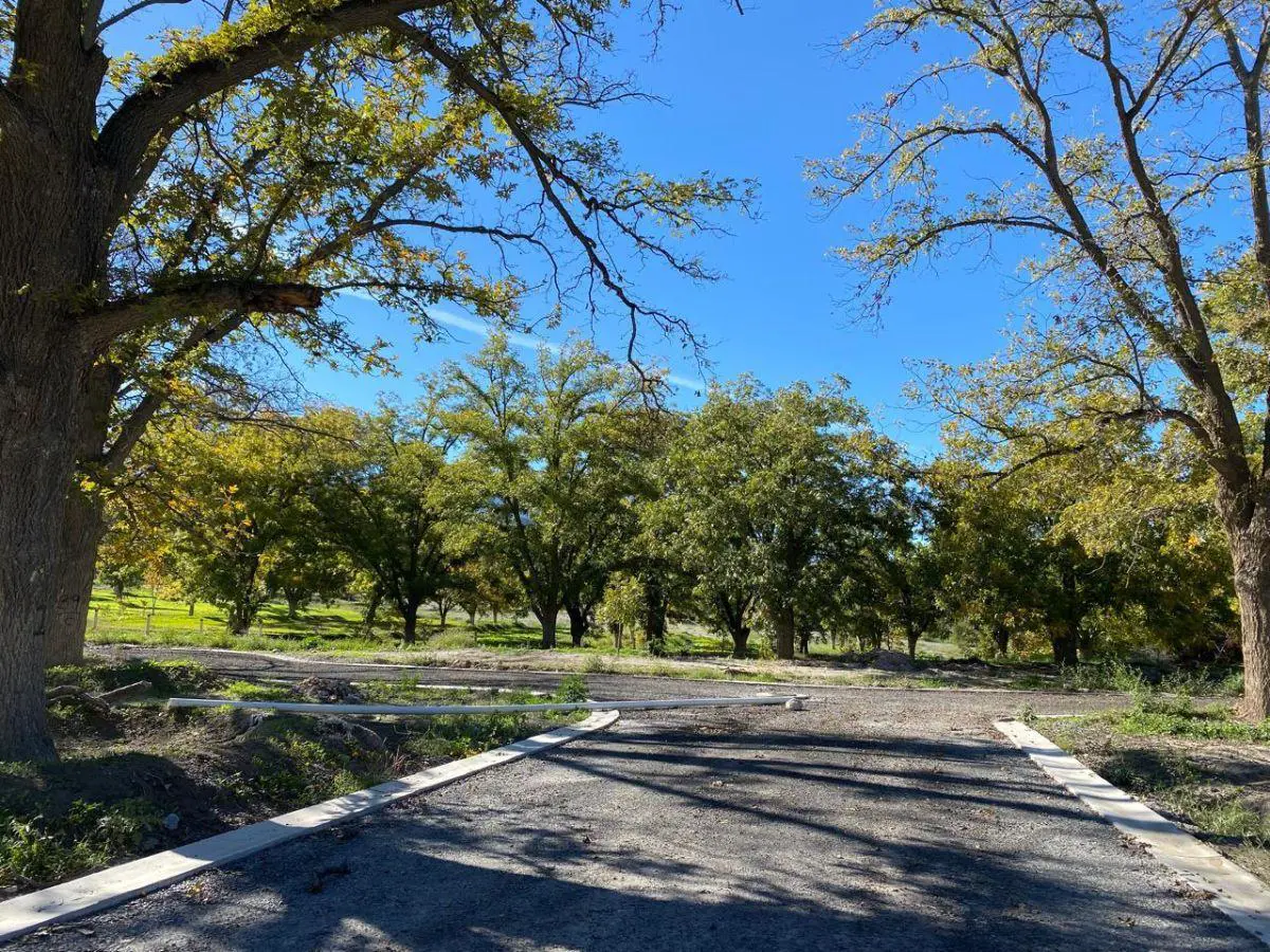 Terreno en venta en Parras, Parras — foto 1 de 16