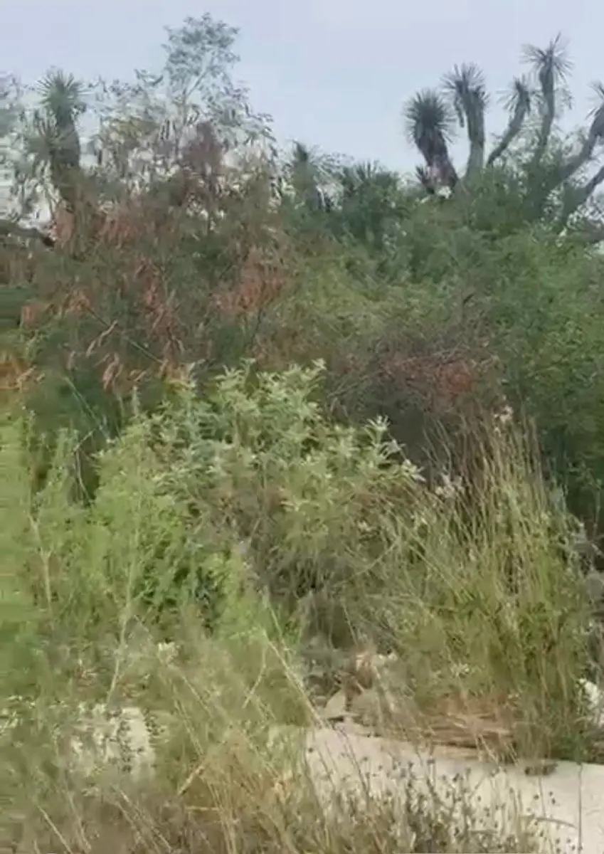 Terreno en venta en Cumbres Elite, Monterrey — foto 1 de 8