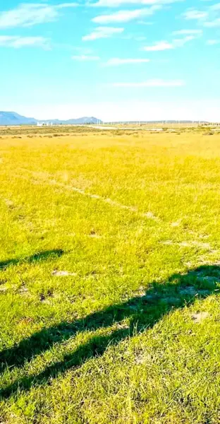 Terreno en venta en Providencia, Saltillo — foto 2 de 3