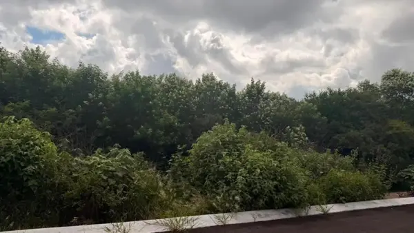 Terreno en venta en Montemorelos Centro, Montemorelos — foto 3 de 14