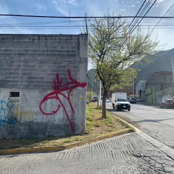 Terreno en venta en Nuevo Almaguer, Guadalupe — foto 3 de 11