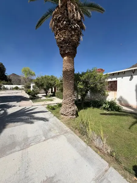 Quinta en venta en Ciudad Juárez, Lerdo — foto 2 de 7