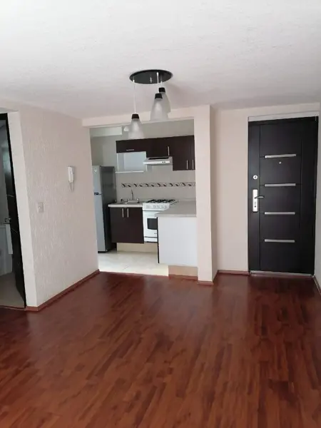 Departamento en renta en Felipe Pescador, Cuauhtémoc — foto 2 de 30