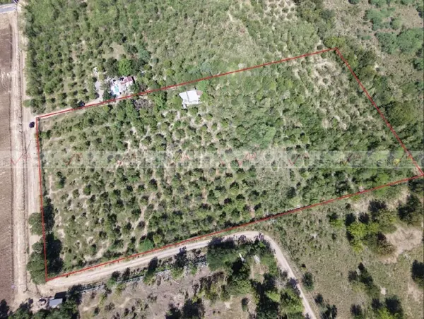 Terreno en venta en Lajitas de Arriba, Cadereyta Jiménez — foto 3 de 20