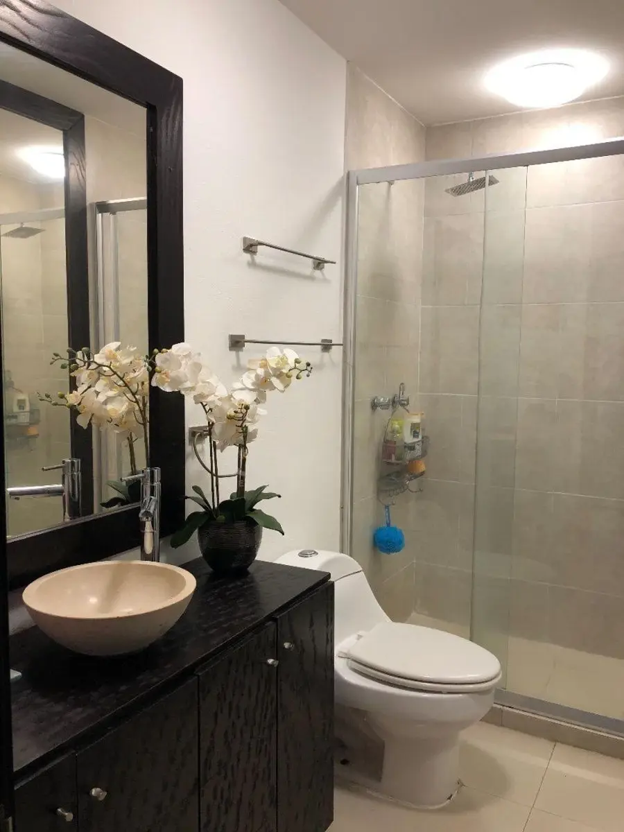 Vista 5 de Departamento en venta en Verónica Anzures, Miguel Hidalgo