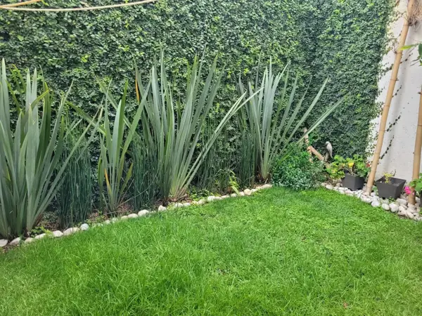 Casa en venta en Rincón de la Carcaña, San Pedro Cholula — foto 3 de 18