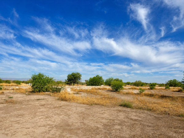 Terreno en venta en La Concha, Torreón — foto 3 de 3