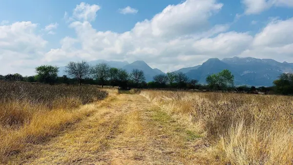 Finca-Rancho en venta en Las Norias, Cadereyta Jiménez — foto 3 de 15