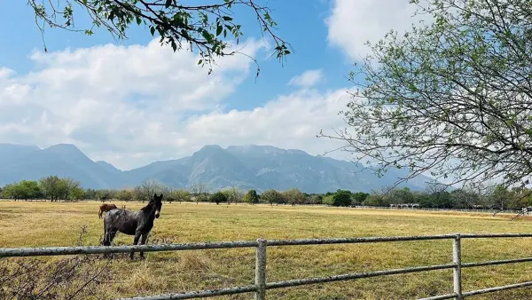 Finca-Rancho en venta en Las Norias, Cadereyta Jiménez — foto 2 de 15